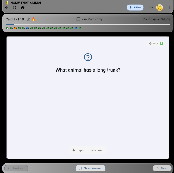 Flashcard Study Interface